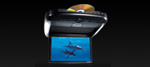 Car Entertainment Systems